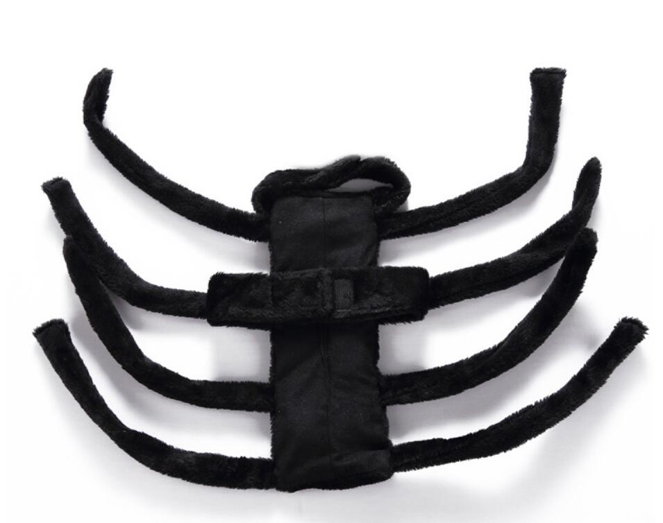 Spider Dog Halloween Pet Costume