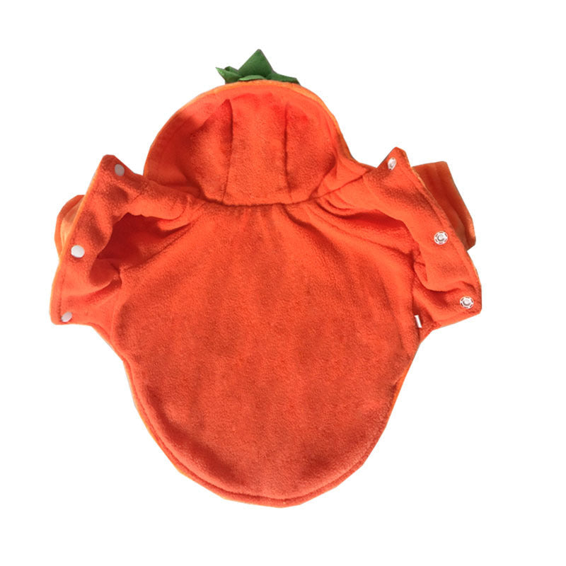 Pumpkin Demon Pet Halloween Costume