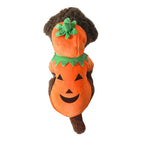 Pumpkin Demon Pet Halloween Costume